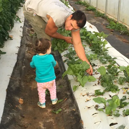 Helping daddy with harvest