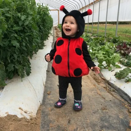 Our little lady bug